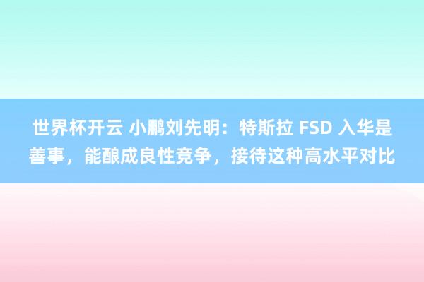 世界杯开云 小鹏刘先明:特斯拉 FSD 入华是善事,能酿成良性竞争,接待这种高水平对比
