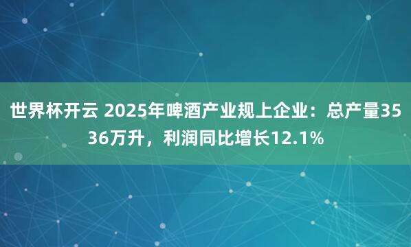 世界杯开云 2025年啤酒产业规上企业:总产量3536万升,利润同比增长12.1%