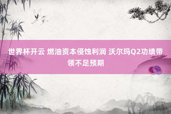 世界杯开云 燃油资本侵蚀利润 沃尔玛Q2功绩带领不足预期