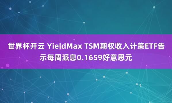 世界杯开云 YieldMax TSM期权收入计策ETF告示每周派息0.1659好意思元