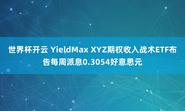 世界杯开云 YieldMax XYZ期权收入战术ETF布告每周派息0.3054好意思元