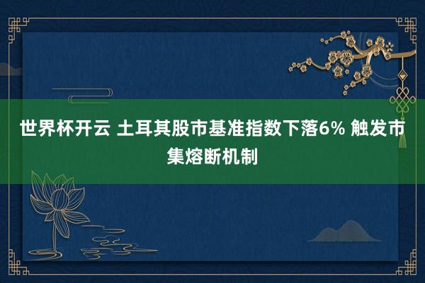 世界杯开云 土耳其股市基准指数下落6% 触发市集熔断机制