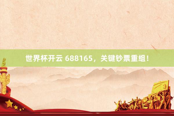 世界杯开云 688165,关键钞票重组!