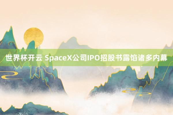 世界杯开云 SpaceX公司IPO招股书露馅诸多内幕