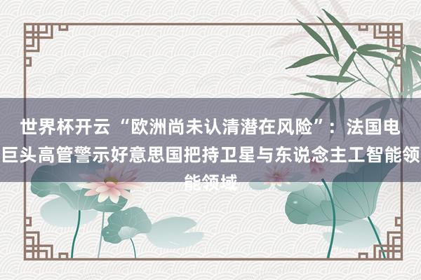 世界杯开云 “欧洲尚未认清潜在风险”:法国电信巨头高管警示好意思国把持卫星与东说念主工智能领域