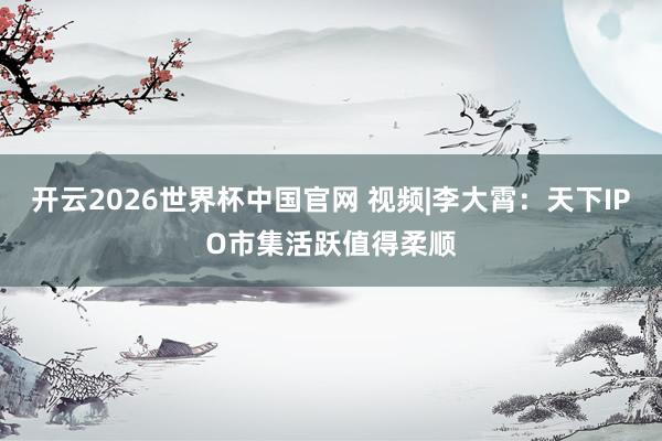 开云2026世界杯中国官网 视频|李大霄：天下IPO市集活跃值得柔顺