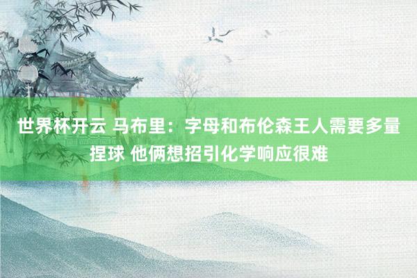 世界杯开云 马布里：字母和布伦森王人需要多量捏球 他俩想招引化学响应很难