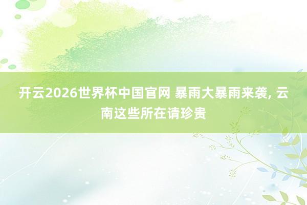 开云2026世界杯中国官网 暴雨大暴雨来袭, 云南这些所在请珍贵