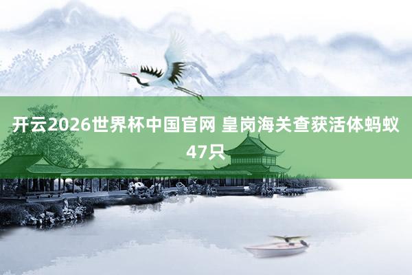 开云2026世界杯中国官网 皇岗海关查获活体蚂蚁47只