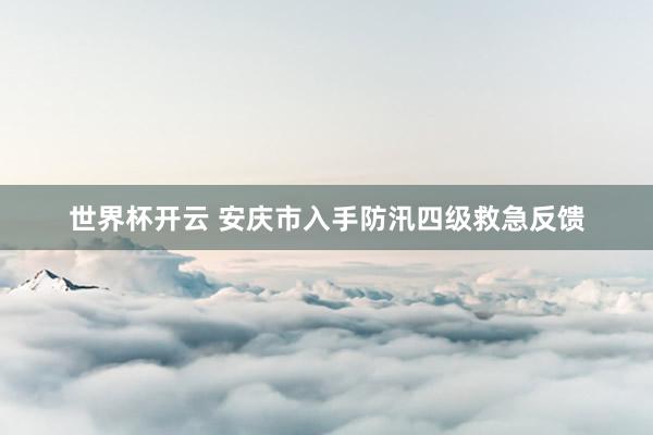 世界杯开云 安庆市入手防汛四级救急反馈