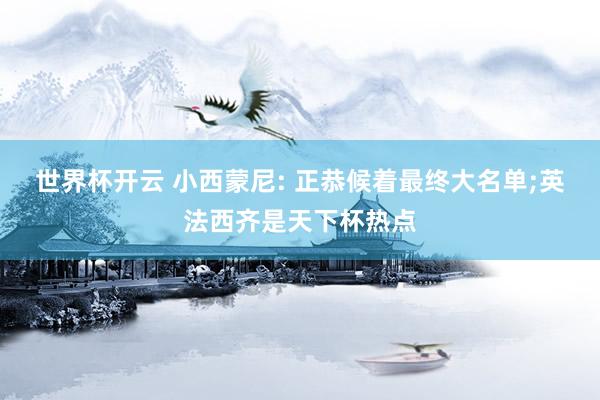 世界杯开云 小西蒙尼: 正恭候着最终大名单;英法西齐是天下杯热点