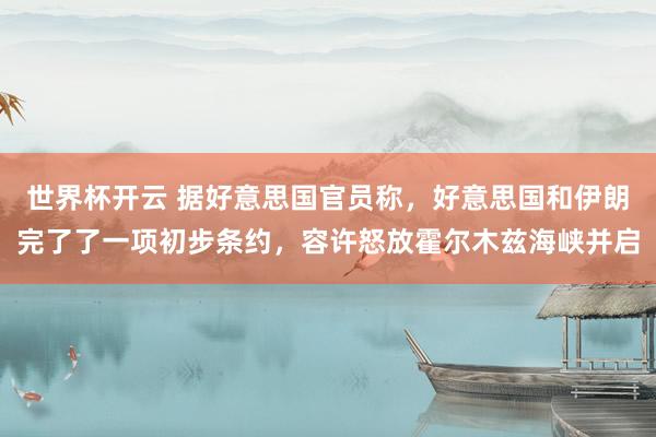 世界杯开云 据好意思国官员称，好意思国和伊朗完了了一项初步条约，容许怒放霍尔木兹海峡并启