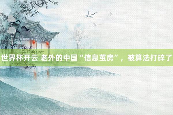 世界杯开云 老外的中国“信息茧房”,被算法打碎了