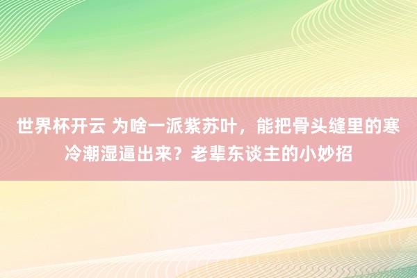 世界杯开云 为啥一派紫苏叶,能把骨头缝里的寒冷潮湿逼出来?老辈东谈主的小妙招