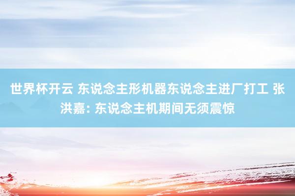 世界杯开云 东说念主形机器东说念主进厂打工 张洪嘉: 东说念主机期间无须震惊
