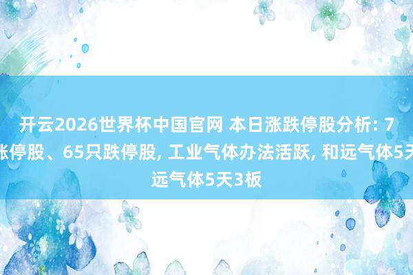 开云2026世界杯中国官网 本日涨跌停股分析: 75只涨停股、65只跌停股, 工业气体办法活跃, 和远气体5天3板