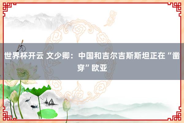 世界杯开云 文少卿:中国和吉尔吉斯斯坦正在“凿穿”欧亚