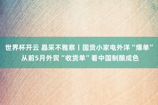 世界杯开云 晶采不雅察丨国货小家电外洋“爆单” 从前5月外贸“收货单”看中国制酿成色