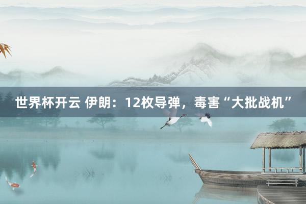 世界杯开云 伊朗:12枚导弹,毒害“大批战机”