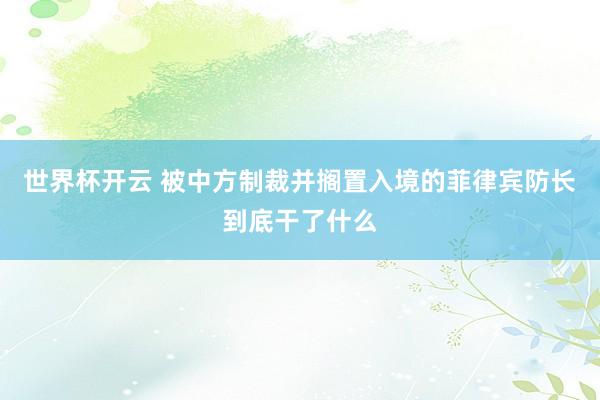 世界杯开云 被中方制裁并搁置入境的菲律宾防长到底干了什么