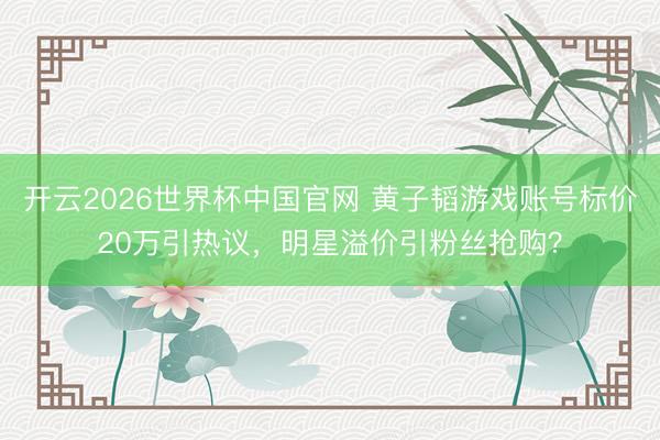 开云2026世界杯中国官网 黄子韬游戏账号标价20万引热议，明星溢价引粉丝抢购？