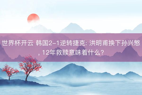 世界杯开云 韩国2-1逆转捷克: 洪明甫换下孙兴慜, 12年救赎意味着什么?