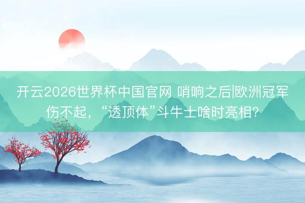 开云2026世界杯中国官网 哨响之后|欧洲冠军伤不起,“透顶体”斗牛士啥时亮相?