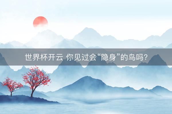 世界杯开云 你见过会“隐身”的鸟吗?