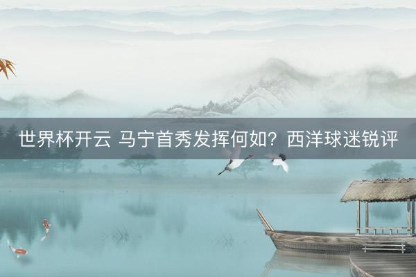 世界杯开云 马宁首秀发挥何如？西洋球迷锐评