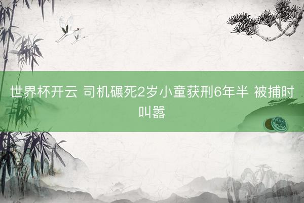 世界杯开云 司机碾死2岁小童获刑6年半 被捕时叫嚣
